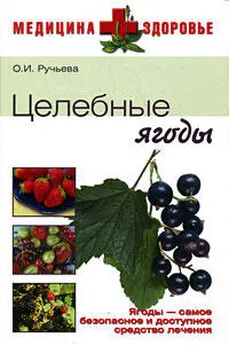 Оксана Ручьева - Целебные ягоды