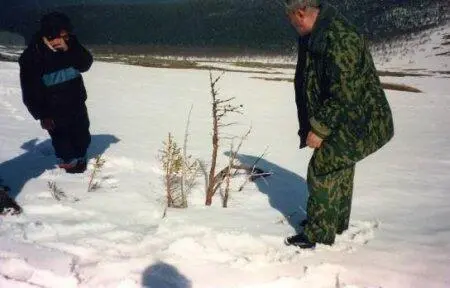 Есть ли след лавины на стволе со стороны склона Внизу видна ложбина по - фото 86
