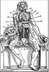 Иллюстрация к учебнику анатомии Рисунок Ханса Бальдунга 1541 Виды - фото 66