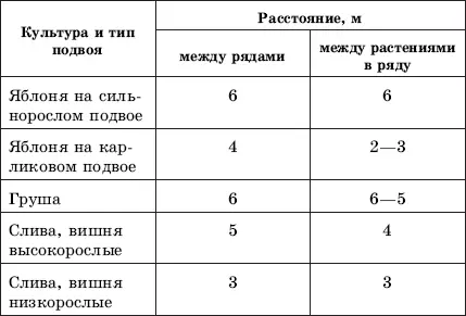 Перед посадкой корни саженцев тщательно осматривают и вырезают секатором все - фото 22