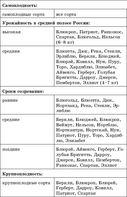 Ученые университета Тафта в Бостоне доказали что голубика способна не только - фото 39