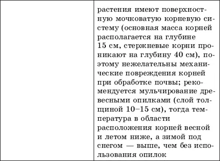 Ученые университета Тафта в Бостоне доказали что голубика способна не только - фото 41