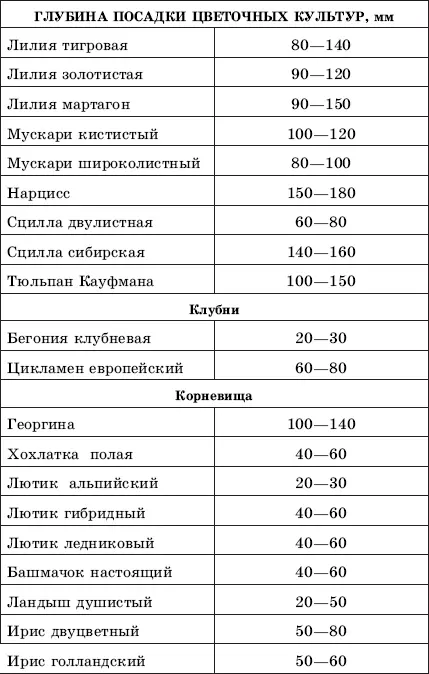 1Семена вербены прорастают не одновременно всхожесть их бывает сравнительно - фото 56