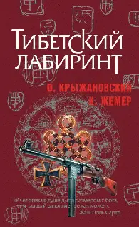 Крыжановский Жемер ТИБЕТСКИЙ ЛАБИРИНТ У человека в душе дыра размером с - фото 1