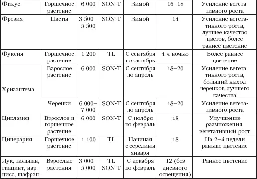 КОМПОЗИЦИИ ИЗ РАСТЕНИЙ ОФОРМЛЕНИЕ ОКОН С точки зрения освещения окна - фото 41