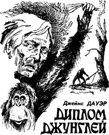 Свет луны упал на лысый череп Шрайбера когда он толчком вырвал свое грузное - фото 13