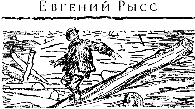 Евгений Рысс СТРАХ Глава первой ЛЕС ЛЕС ЛЕС Летом мы с Пашкой - фото 4