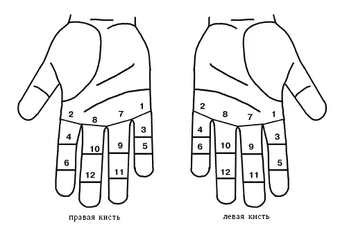Рис 32 Точки соответствия суставам рук и ног на кистях 1 левый плечевой - фото 41