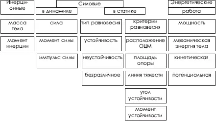 При изучении движений спортсмена тело его условно принимают за материальную - фото 22
