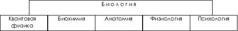 Биохимический компонентявляется субстратом основой костной мышечной и др - фото 498