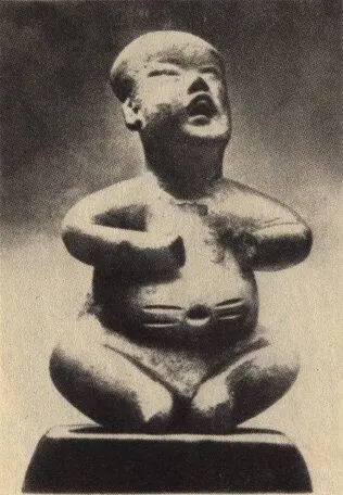 или патологически толстых младенцев Черты лица портретируемого особенно - фото 33