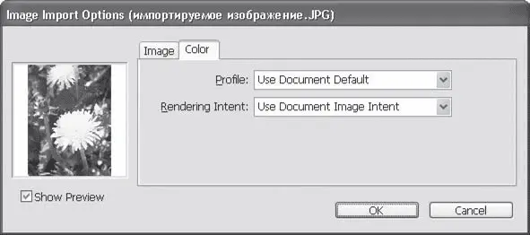 Рис 125 Диалоговое окно импорта изображения вкладка Color Цвет - фото 238