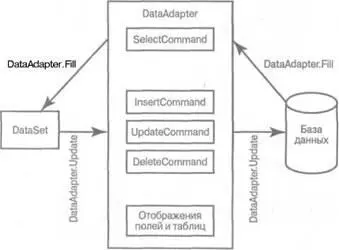 РИС 61 Схема работы объекта DataAdapter как моста между источником данных - фото 66