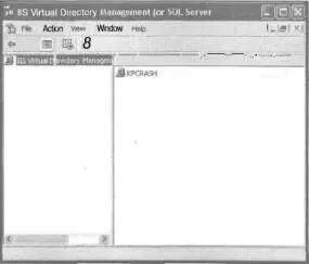 РИС 9З Диалоговое окно IIS Virtual Directory Management for SQL Server - фото 97