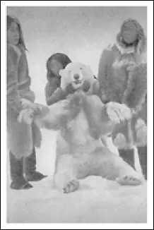 Медведь убитый в заливе Маркем Октябрь 1909 г Добыча вскоре была - фото 30