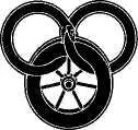 CHAPTER 6 When Iron Melts Rodel Ituralde had seen a lot of battlefields Some - фото 12