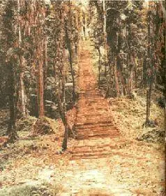 Одна из бесконечных лестниц Буритаки На сегодняшний день известны около двух - фото 122