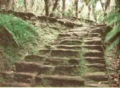 Одна из бесконечных лестниц Буритаки На сегодняшний день известны около двух - фото 123