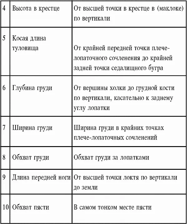Так по измерениям 1 и 2 определяется соотношение длины лицевой части и морды с - фото 13