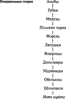 Отсюда и парадокс люди пользуются языком в то время как у их соседей на - фото 54