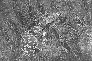 Фото 186 Незамаскированная но углубленная открытая позиция подскока Сзади или - фото 330