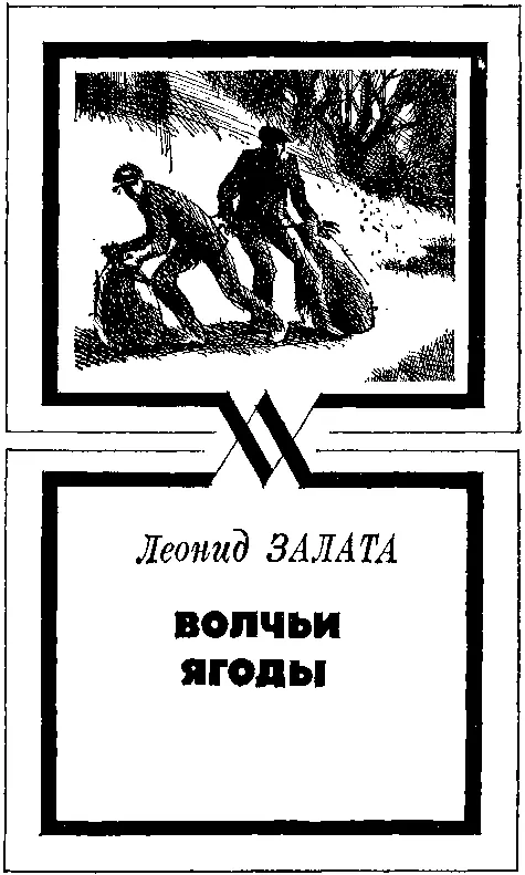 Леонид Залата ВОЛЧЬИ ЯГОДЫ СОЛОВЬИ ДЛЯ ФОНОТЕКИ 1 В среду - фото 1