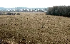 Увы водород опасен в местах выхода он уничтожает чернозем На пресловутых - фото 8