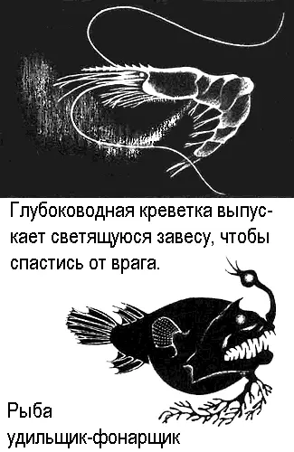 Мы долго беседовали С тех пор всякий раз когда я вижу в банке заспиртованную - фото 76