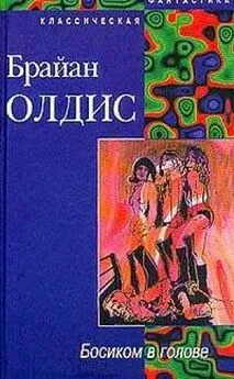 Брайан Олдис - Босиком в голове