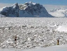 Получилось вот что катаюсь я на горе сам в тот раз не было компании и - фото 14