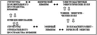 Предлагаемая читателю книга Ричарда Гербера представляет собой попытку - фото 4