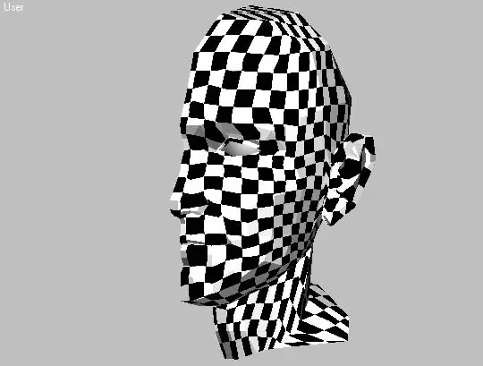 Рис 14117Модель головы с присвоенной текстурой Checker Шахматная текстура - фото 1273