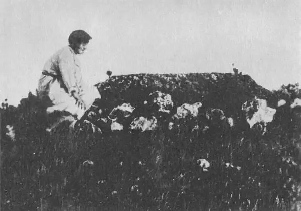 М С Волошина на могиле М Волошина 1930е гг М А Волошин Фото 1930 г - фото 56