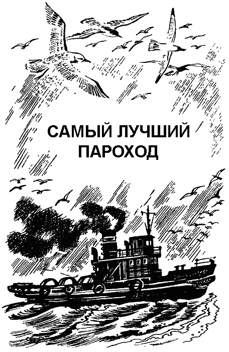 САМЫЙ ЛУЧШИЙ ПАРОХОД Живые домики Я плавал у скалы над неровным каменистым - фото 37