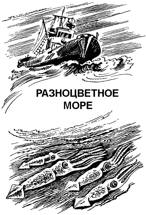 РАЗНОЦВЕТНОЕ МОРЕ Разноцветное море Это рассказ о море Только не о том - фото 44