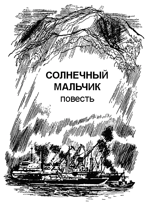 СОЛНЕЧНЫЙ МАЛЬЧИК Посвящается всем Вовкам на свете Вместо начала Вовке - фото 53