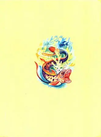 httppubllibru - фото 45