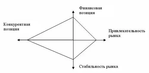 Рис 18 Защитная стратегия Сегментационная стратегия включает ориентацию в - фото 24