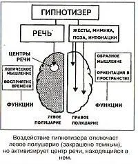 Воздействие гипнотизёра отключает левое полушарие закрашено тёмным но - фото 49