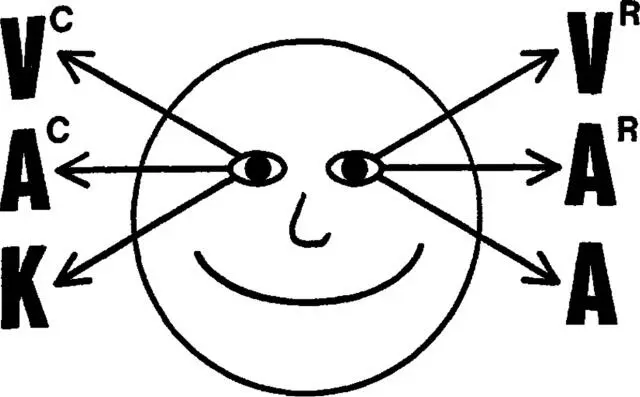 Vc Visual constructed images Vr Visual remembered eidetic images Eyes - фото 1