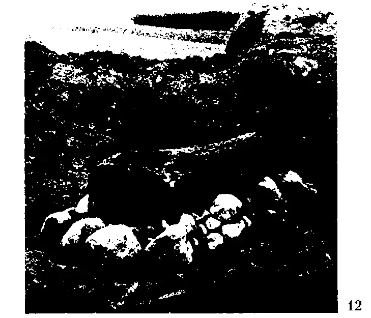 12 Гроб найденный под могильный холмом во время раскопок 1921 г в - фото 28