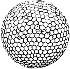 Aulonia hexagona увеличение примерно 200 крат из книги ДАрси Томпсона Рост - фото 93