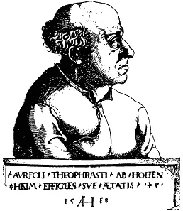 Известный портрет Парацельса Августина Хиргифогеля 1538 г Такова судьба - фото 3
