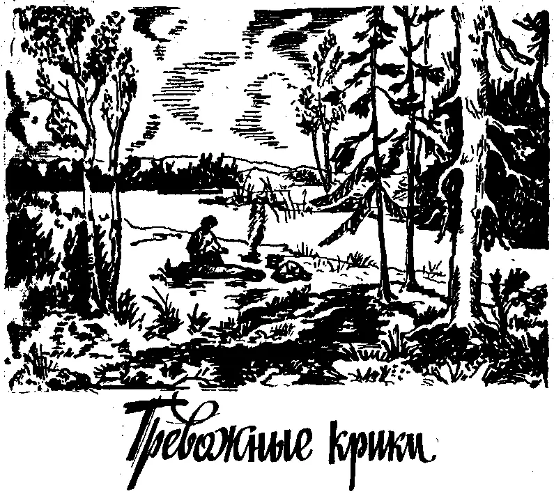 До знакомой поляны у ручья добрался я под вечер но солнце стояло довольно - фото 11