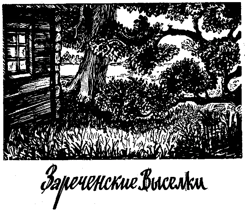 В памяти человеческой ничто не пропадает бесследно хранится годами так бережно - фото 5