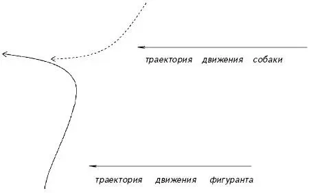 Схема 2 Траектория движения собаки и фигуранта при переходе к работе без - фото 29
