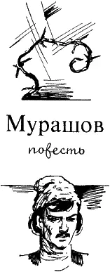 Владимир Соколовский МУРАШОВ Повесть 1 До войны здесь стоял огромный щит с - фото 1