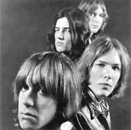 The Stooges Расцвет панкрока пришелся на середину 1970х годов когда - фото 110