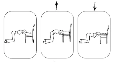 Упражнение 3 Исходное положение стоя на четвереньках распрямив плечи - фото 22