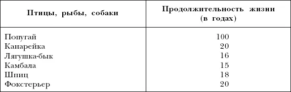 Физическое развитие собаки происходит с 3 до 5 лет Затем спаниель вступает в - фото 47